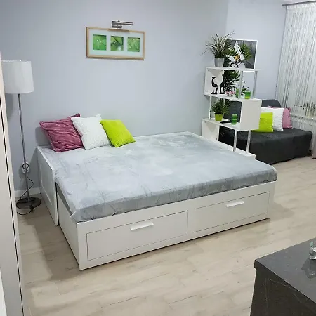 Kawalerka W Kamienicy Na Starowce グダニスク