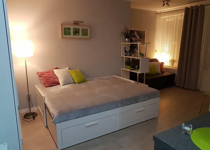 Kawalerka W Kamienicy Na Starowce *