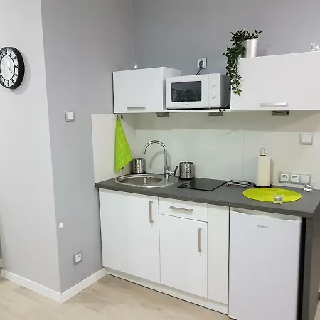 Kawalerka W Kamienicy Na Starowce *